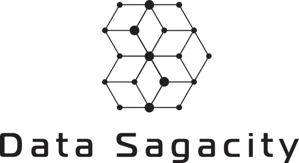 Data Sagacity logo